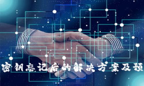 tp钱包密钥忘记后的解决方案及预防措施
