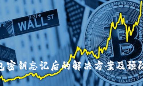 tp钱包密钥忘记后的解决方案及预防措施
