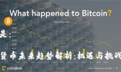 可以是：加密货币未来趋