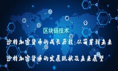 沙特加密货币的成长历程