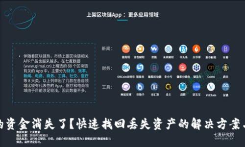 TP钱包里的资金消失了？快速找回丢失资产的解决方案与预防措施