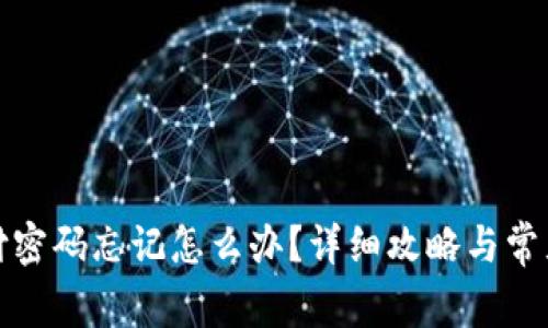 TP钱包支付密码忘记怎么办？详细攻略与常见疑问解答
