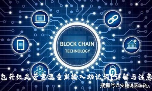 TP钱包升级是否需要重新输入助记词？详解与注意事项