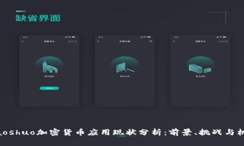xiaoshuo加密货币应用现状分析：前景、挑战与机遇