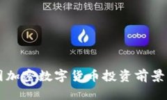 中国加密数字货币投资前
