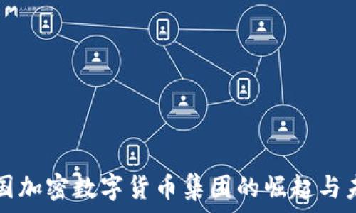   
中国加密数字货币集团的崛起与未来