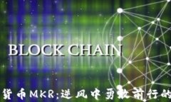 深入了解加密货币MKR：逆