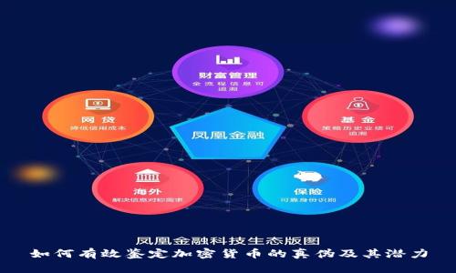 如何有效鉴定加密货币的真伪及其潜力