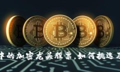 数字货币投资中的加密龙