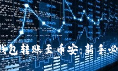  如何从TP钱包转账至币安：新手必看完全指南
