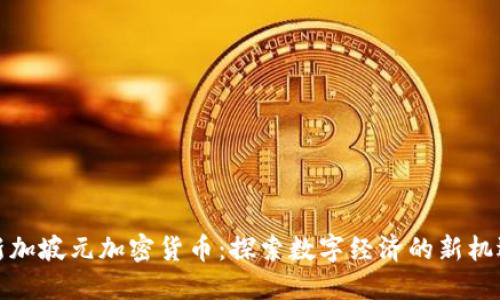 新加坡元加密货币：探索数字经济的新机遇