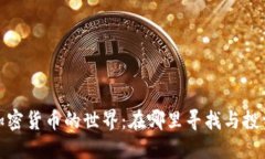 加密货币的世界：在哪里