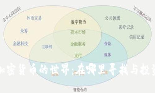 加密货币的世界：在哪里寻找与投资