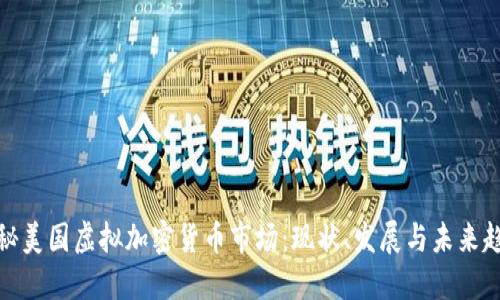 揭秘美国虚拟加密货币市场：现状、发展与未来趋势