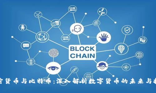 加密货币与比特币：深入解析数字货币的未来与挑战