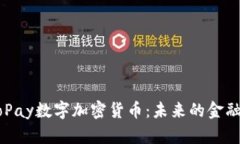 全面解析GoPay数字加密货币