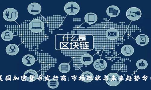 美国加密货币发行商：市场现状与未来趋势分析