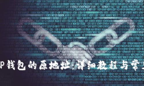 如何找回TP钱包的原地址：详细教程与常见问题解答