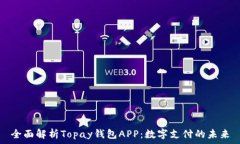   全面解析Topay钱包APP：数
