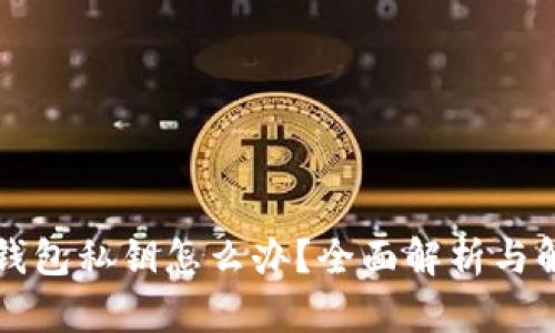 忘记TP钱包私钥怎么办？全面解析与解决方案