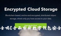 TP数字钱包安全吗？全面分