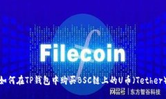如何在TP钱包中购买BSC链上