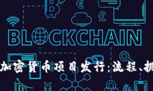 全面解析加密货币项目发行：流程、挑战与未来