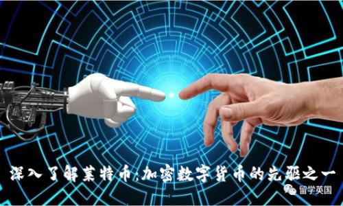 深入了解莱特币：加密数字货币的先驱之一