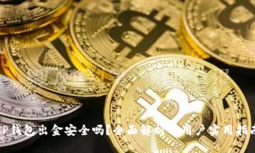 TP钱包出金安全吗？全面解析与用户实用指南