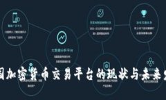 中国加密货币交易平台的