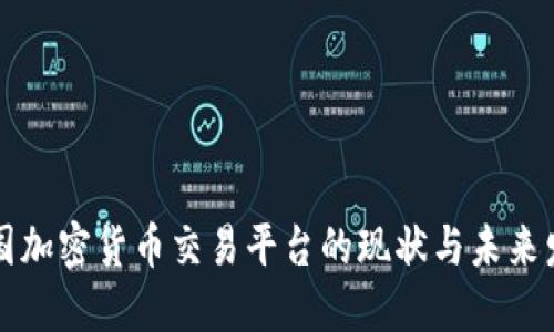 中国加密货币交易平台的现状与未来发展