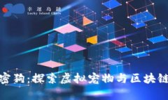 数字货币加密狗：探索虚