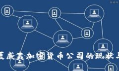 探究夏威夷加密货币公司