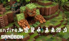 深入解析Bonfire加密货币：
