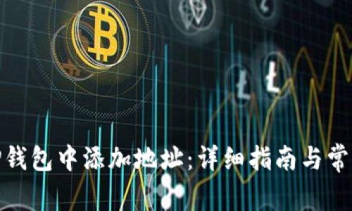 : 如何在TP钱包中添加地址：详细指南与常见问题解答