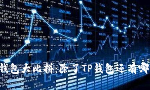区块链钱包大比拼：除了TP钱包还有哪些选择？