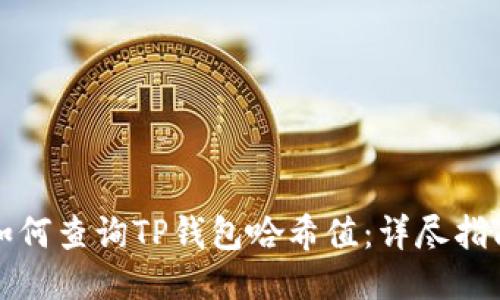 如何查询TP钱包哈希值：详尽指南