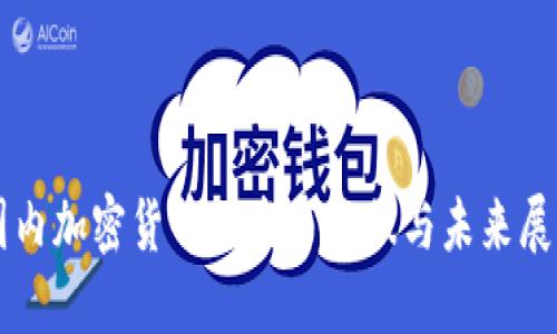 国内加密货币的发布现状与未来展望