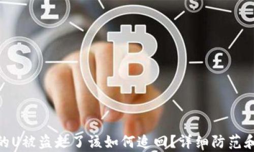 
tp钱包里的U被盗走了该如何追回？详细防范和应对措施