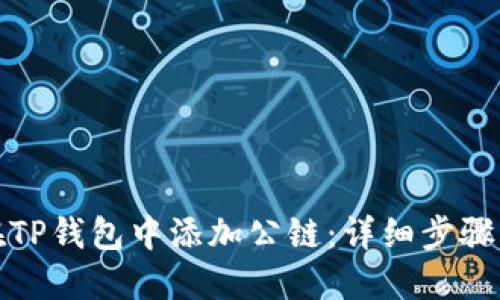 如何在TP钱包中添加公链：详细步骤与技巧