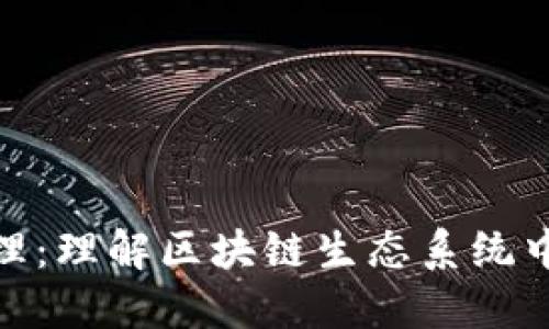 加密货币治理：理解区块链生态系统中的决策机制