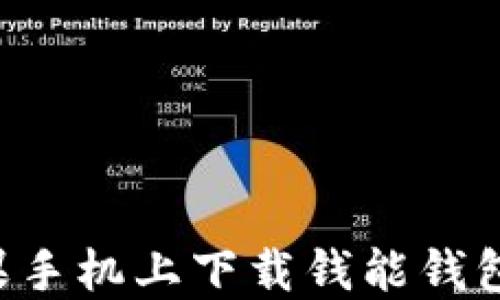 
如何在苹果手机上下载钱能钱包：全面指南