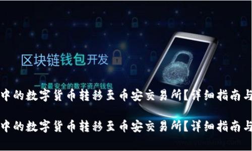 如何将TP钱包中的数字货币转移至币安交易所？详细指南与常见问题解答

如何将TP钱包中的数字货币转移至币安交易所？详细指南与常见问题解答