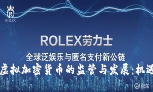 中国对虚拟加密货币的监管与发展：机遇与挑战
