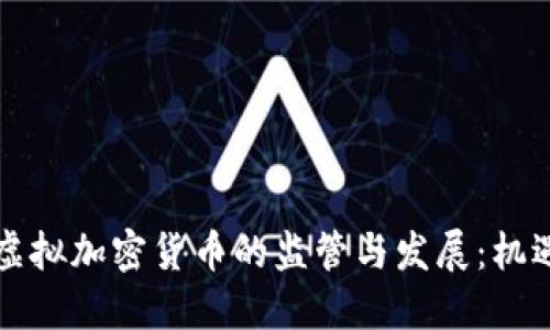 中国对虚拟加密货币的监管与发展：机遇与挑战