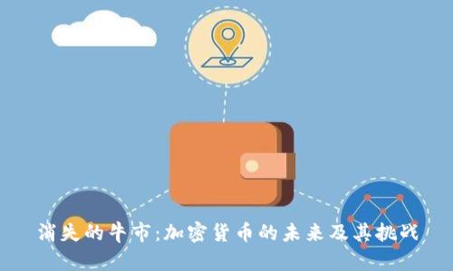 消失的牛市：加密货币的未来及其挑战