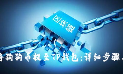 如何将狗狗币提至TP钱包：详细步骤与提示