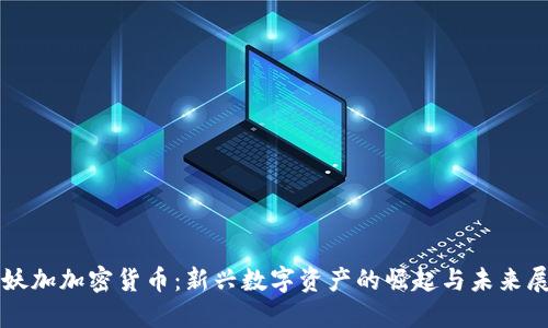 海妖加加密货币：新兴数字资产的崛起与未来展望