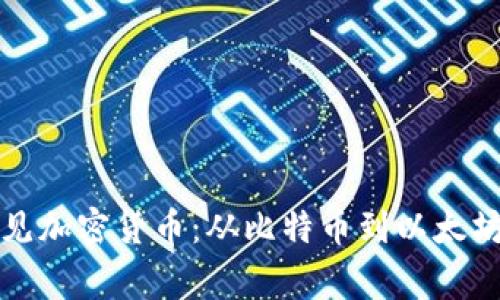 全面解析常见加密货币：从比特币到以太坊的深度了解