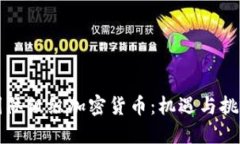 国际组织加密货币：机遇